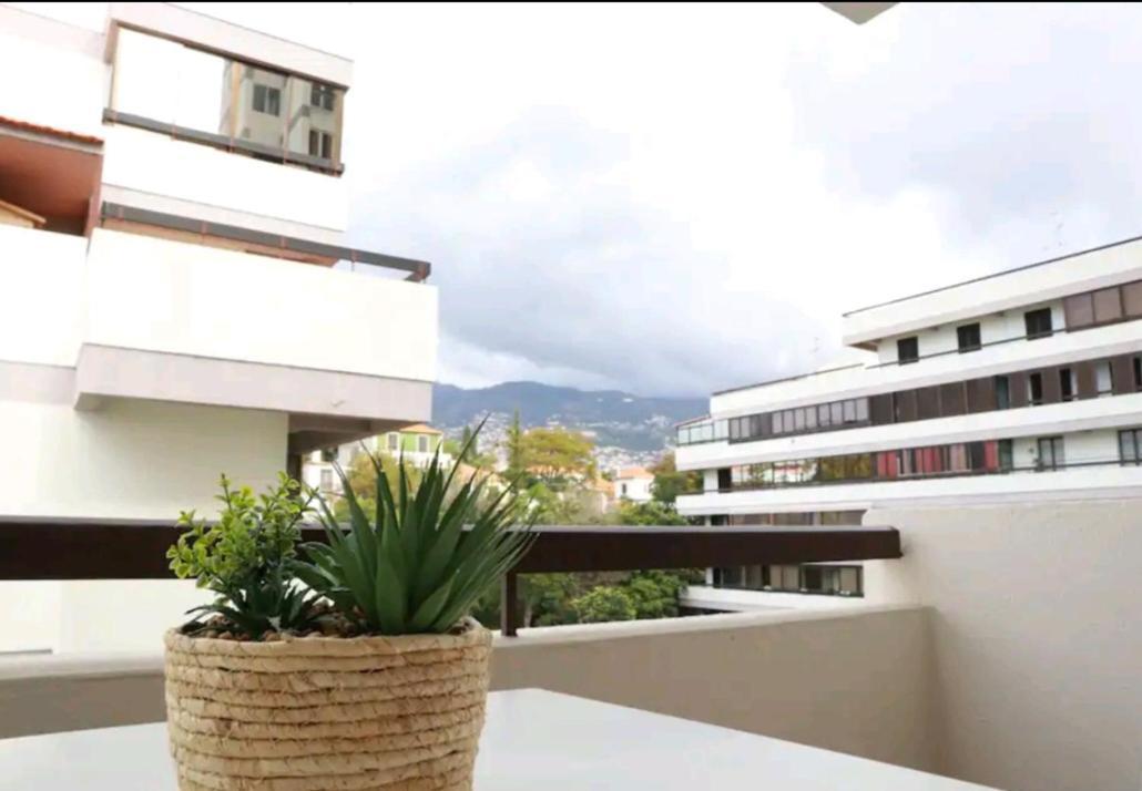 Vista Infante Apartments フンシャル エクステリア 写真